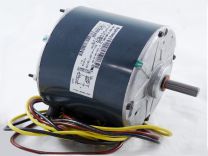 HC39GE468.jpg